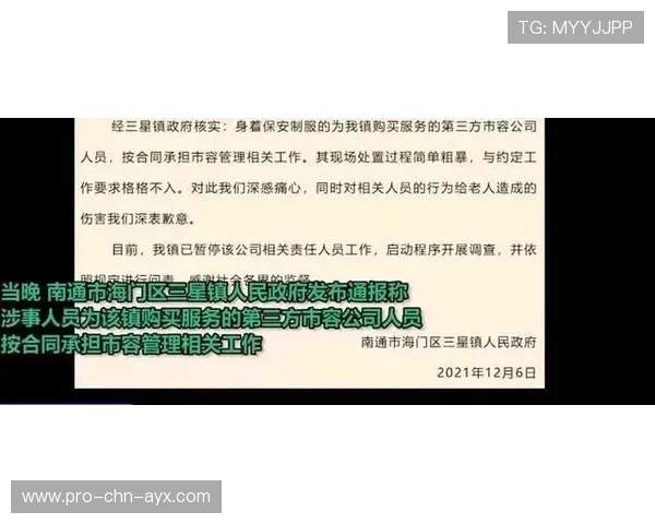 主帅被问责：战术失败的责任边界如何划分？